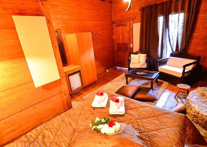 Penzion ναϊάδες Synikia Mesi Trikalon